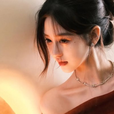 猎犬强盗 封面
